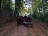 Náhled fotografie