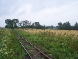 Náhled fotografie