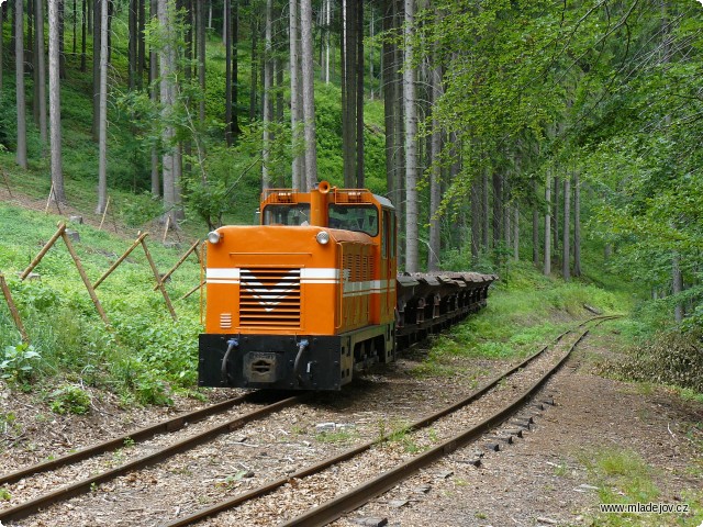 Fotografie Motorový nákladní vlak vedený lokomotivou Faur L 18 H vyčkává na křižování na Vekslu.