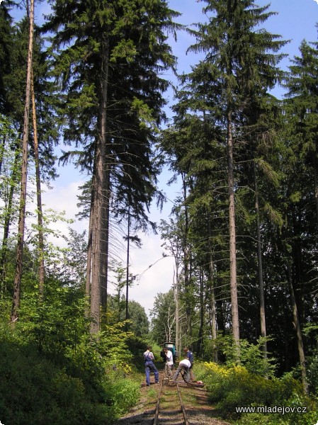 Fotografie Dobrovolná brigáda v&nbsp;roce 2011 byla věnována především údržbě provozovaného úseku z&nbsp;Mladějova na Novou Ves. Na snímku klesání pod Vekslem, kde trať opouští les a pokračuje mezi loukami a poli.