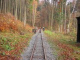 Náhled fotogalerie