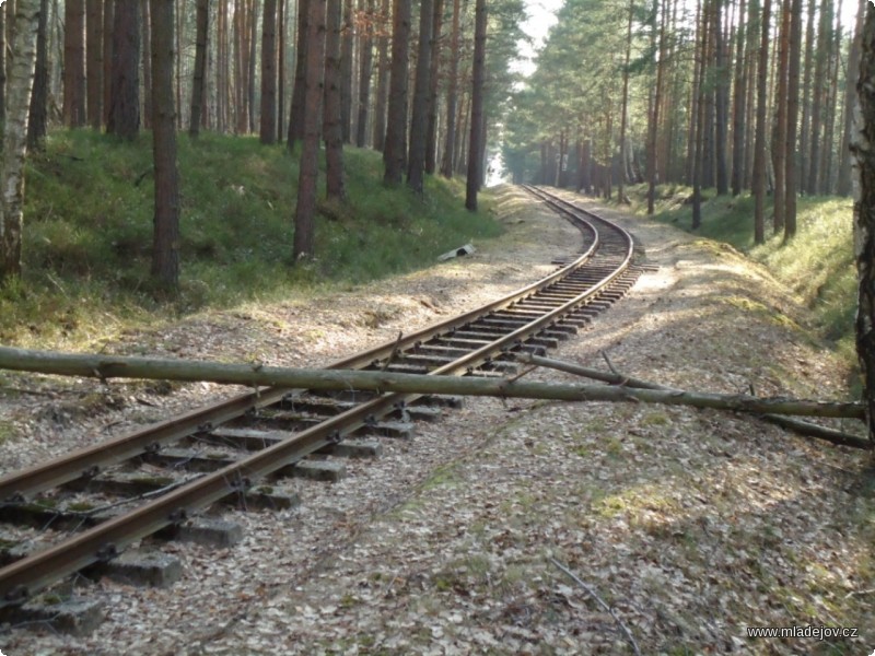 Fotografie Jediný spadlý strom na sjízdném úseku.
