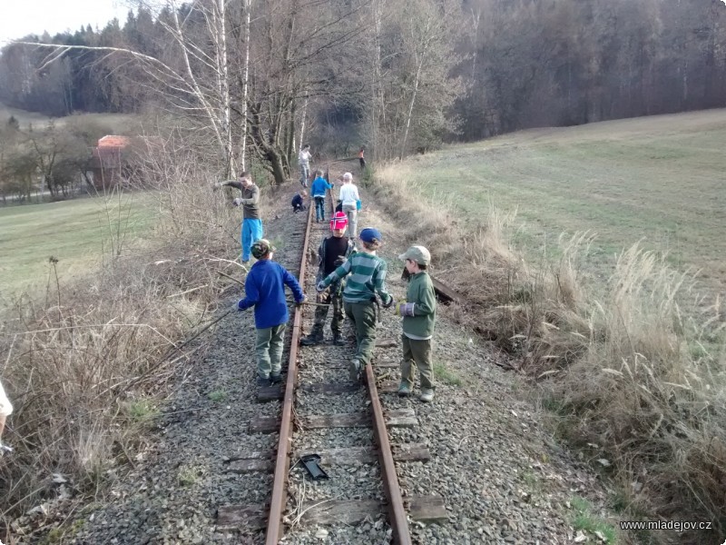 Fotografie Starší skauti během prořezávky dohlížejí na vlčata, která pomáhají při odnosu větví.