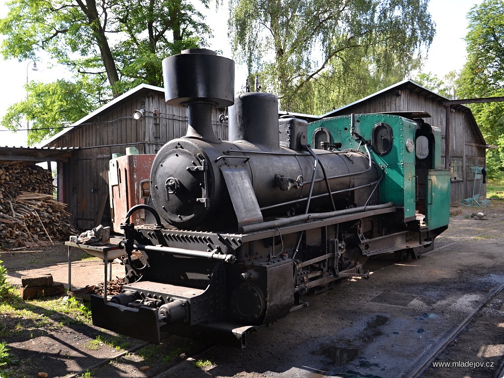 Fotografie Nutno říci, že jí to pak na ranním slunci náramně slušelo.