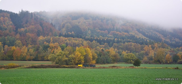 Fotografie Podzimní barvy barví stromy. I to dává celé atmosféře osobitou krásu.