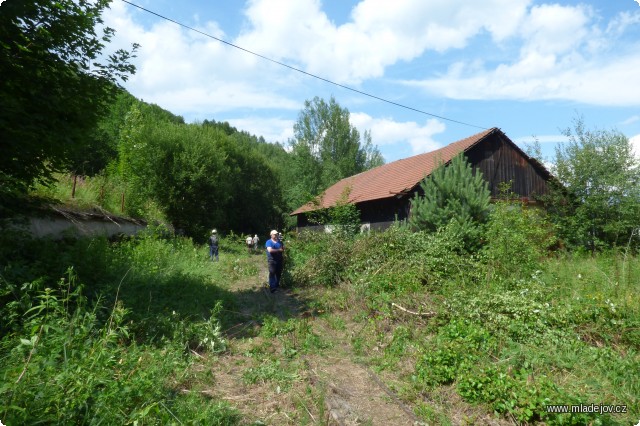 Fotografie Hlavním pracovištěm je samotná hřebečská stanice. Nejdříve je nutné vyrvat ji ze spárů vegetace. Za léta bez pravidelného provozu se jí zde namnožilo víc než dost.