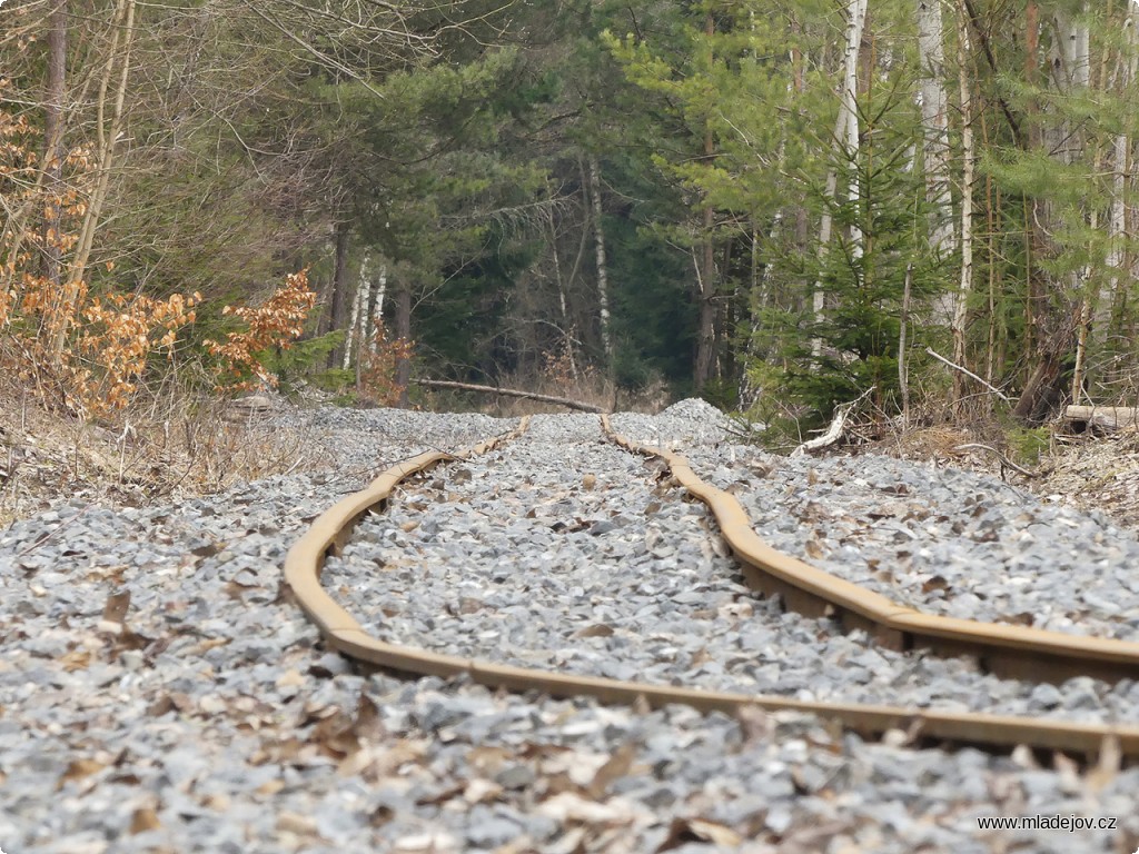 Fotografie Takto vypadalo místo činu týden před podbíjením. Koleje z&nbsp;léta, štěrk z&nbsp;podzimu a spadané stromy ze zimy.