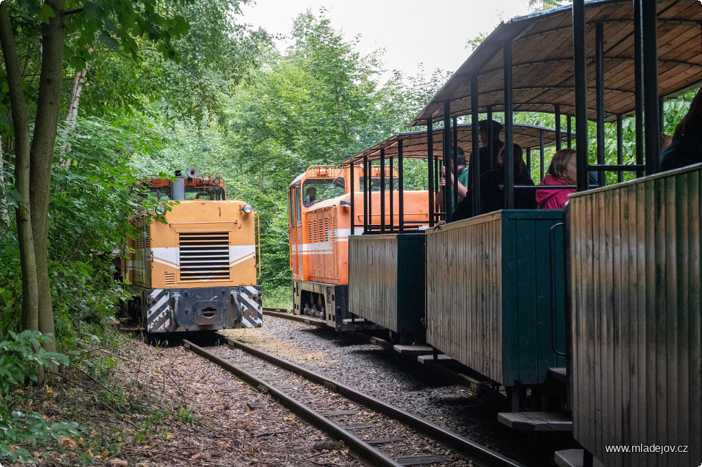 Fotografie Zajímavé křižování vojenského a civilního vlaku na Vekslu, oba s&nbsp;lokomotivami Faur L18 H v&nbsp;čele. Parní lokomotiva s&nbsp;třetím vlakem a částí vojska mezitím už čeká na Nové Vsi.