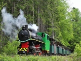 Letní provoz na mladějovské úzkokolejce (2021)