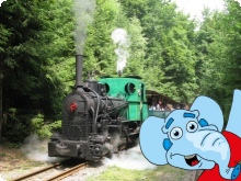 Ilustrační obrázek