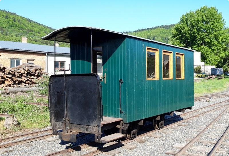 Tříokeňák v květnu 2025. Foto: Dušan Kleberc